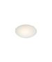 WH400-3 PINAR GLASS CEILING HOMELIGHTING 77-3648