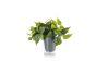 Τεχνητό Φυτό σε Γλάστρα 29xH31cm Πράσινο Trio Lighting Plant 92945