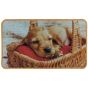 Πατάκι Εισόδου Μοκέτα με Λάστιχο 45x75cm Sleeping Dog SL8603 San Lorentzo 8603